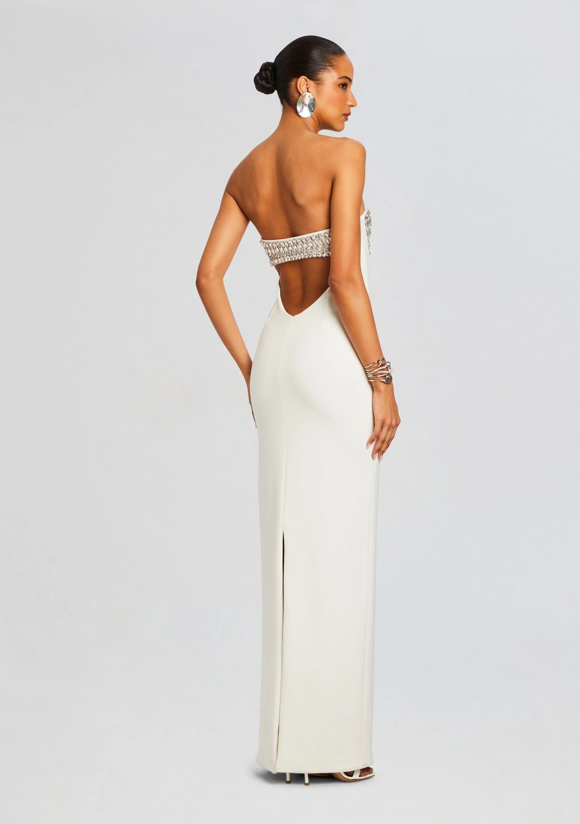 Swan Embellished Dress