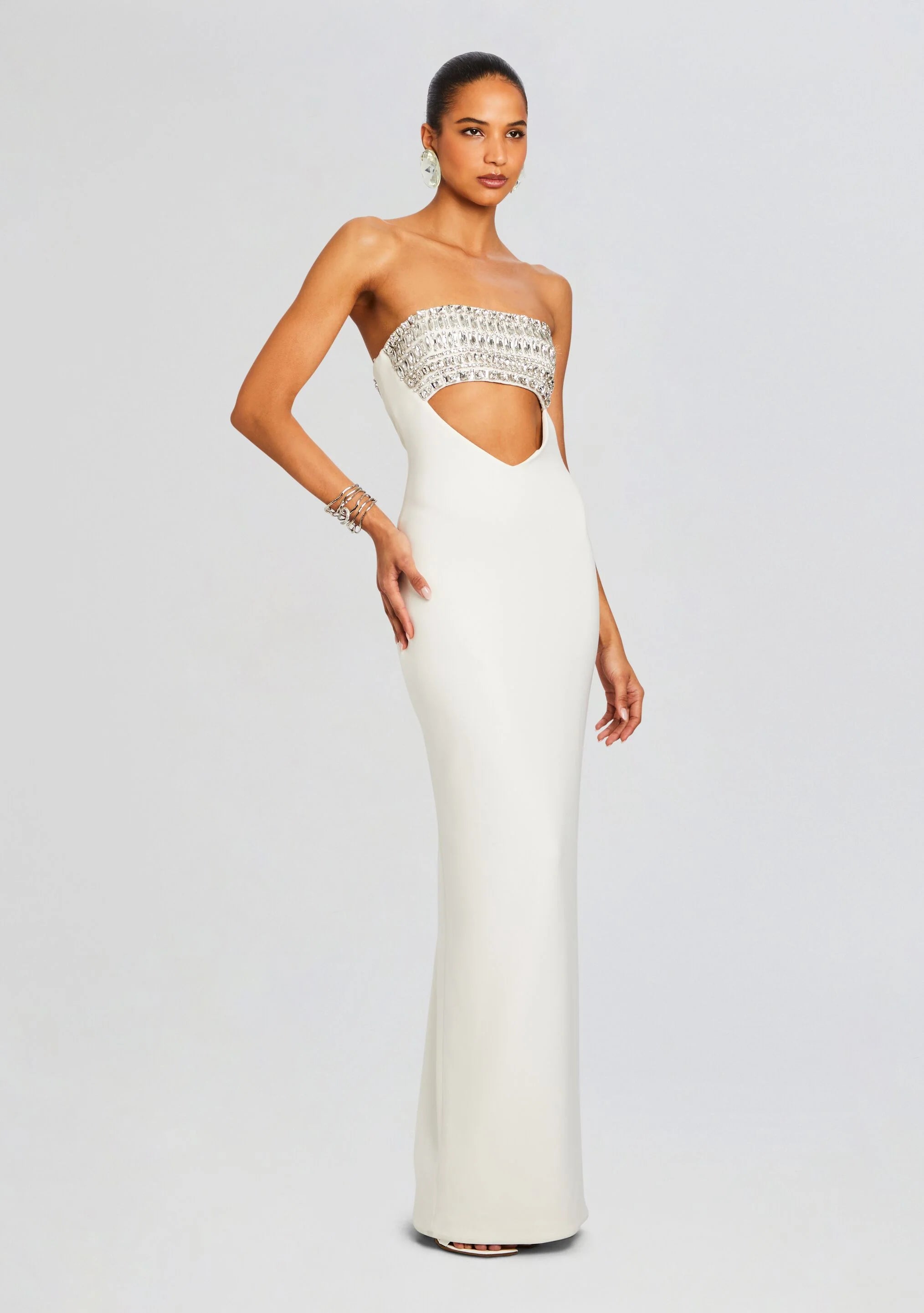 Swan Embellished Dress