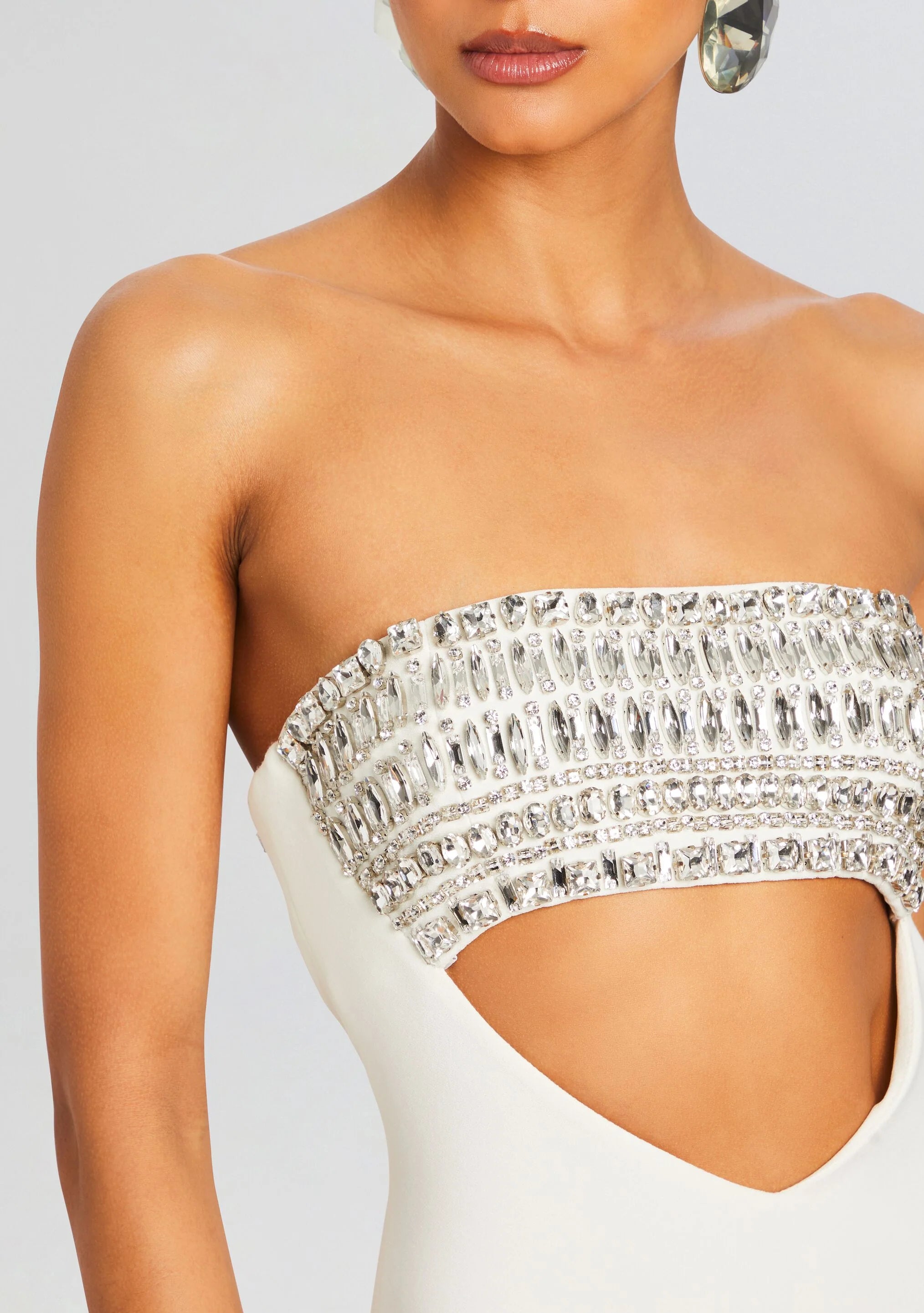 Swan Embellished Dress