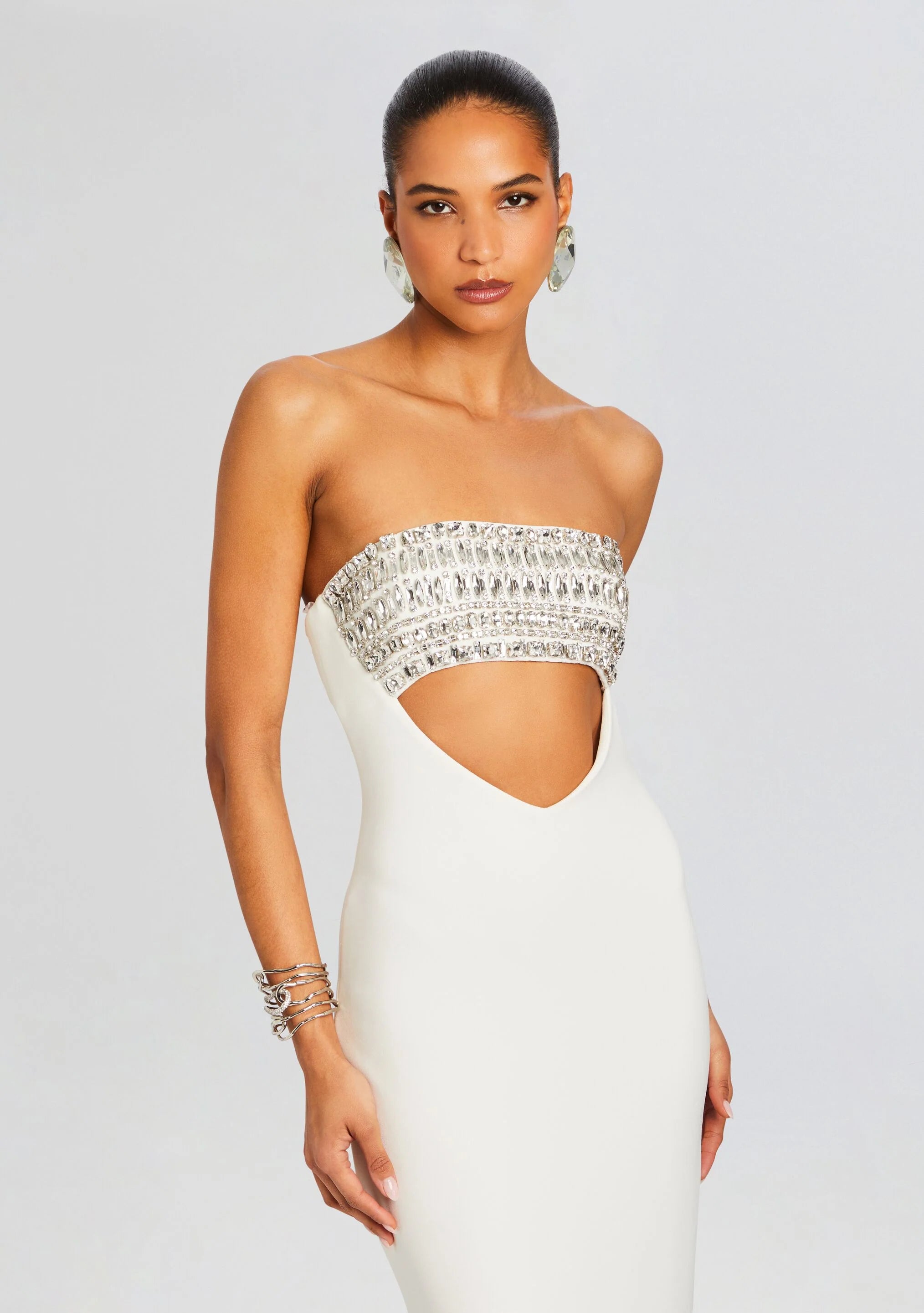 Swan Embellished Dress