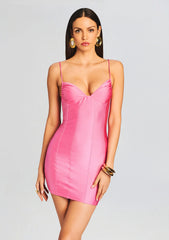 Eliana Lycra Mini Dress