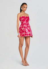 Alira Lace Dress