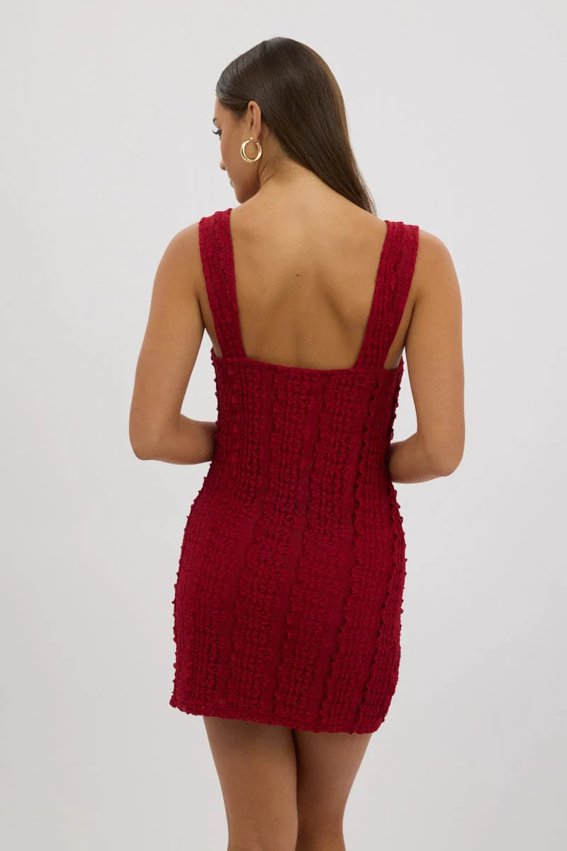 Red Bodycon Dress Lace Mini
