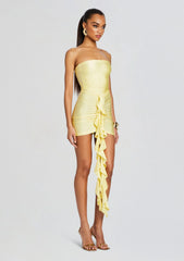 Serena Mini Dress
